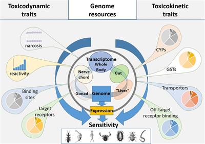 Species Sensitivity to Toxic Substances: Evolution, Ecology and Applications